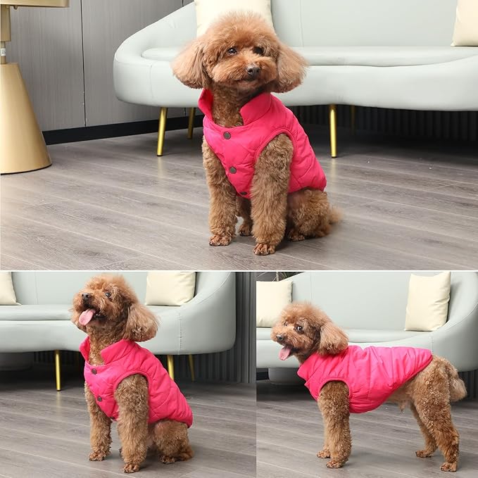 2 Layers Fleece Lined Warm Dog Jacket for Puppy Winter Cold Weather,Soft Windproof Small Dog Coat,Pink S