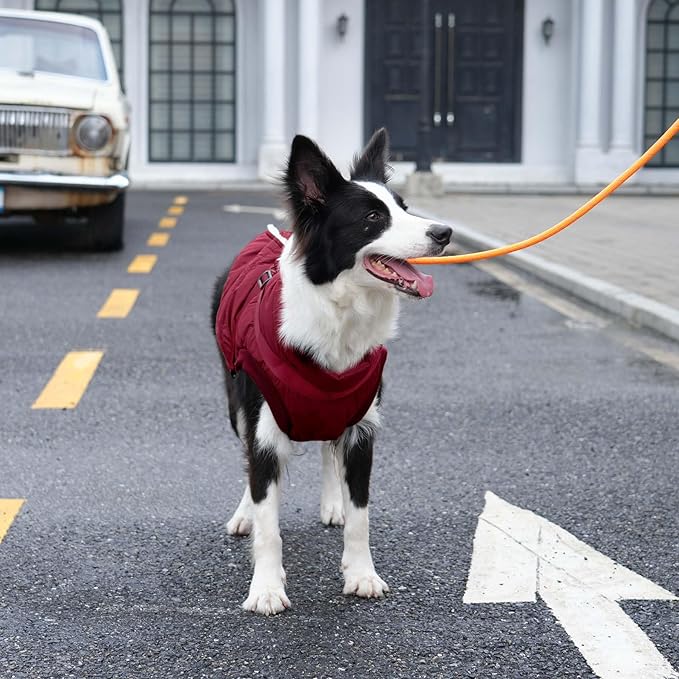 Dog Jacket with Harness,Fleece Lined Warm Puppy Coat for Winter,Soft Windproof Small Dog Vest,Red S
