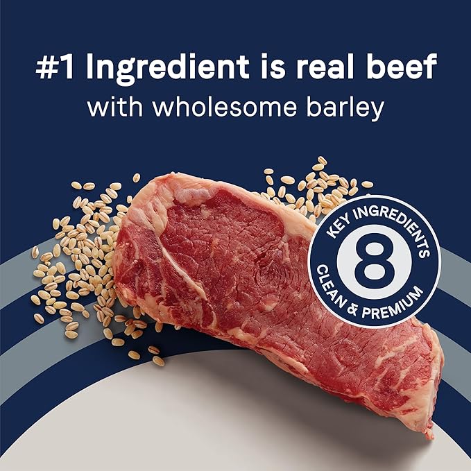 CANIDAE Pure Limited Ingredient Premium Adult Dry Dog Food, Real Beef & Barley Recipe, 4 lbs, with Wholesome Grains