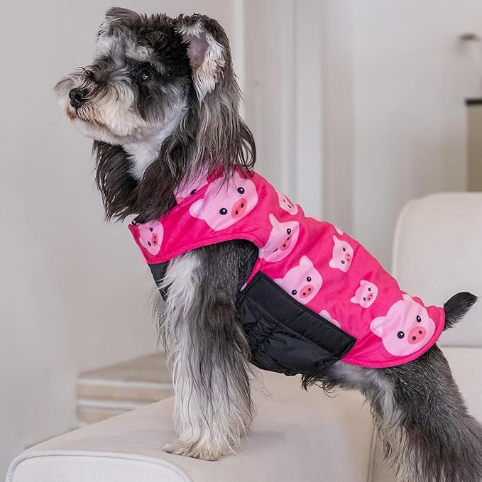 CuteBone Winter Dog Coat - Waterproof Windproof Reversible Vest, Thick Adjustable Cold Weather Jacket for Small Medium Large Dogs, Soft With Leash Hole