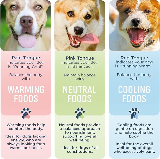Side by Side Chicken & Lamb Stew - Warming Wet Dog Food & Dog Food Topper for All Breeds - Made with Nutrients & Whole Raw Ingredients - No Artificial Additives or Fillers - USA Made (12.5 oz, 3-Pack)