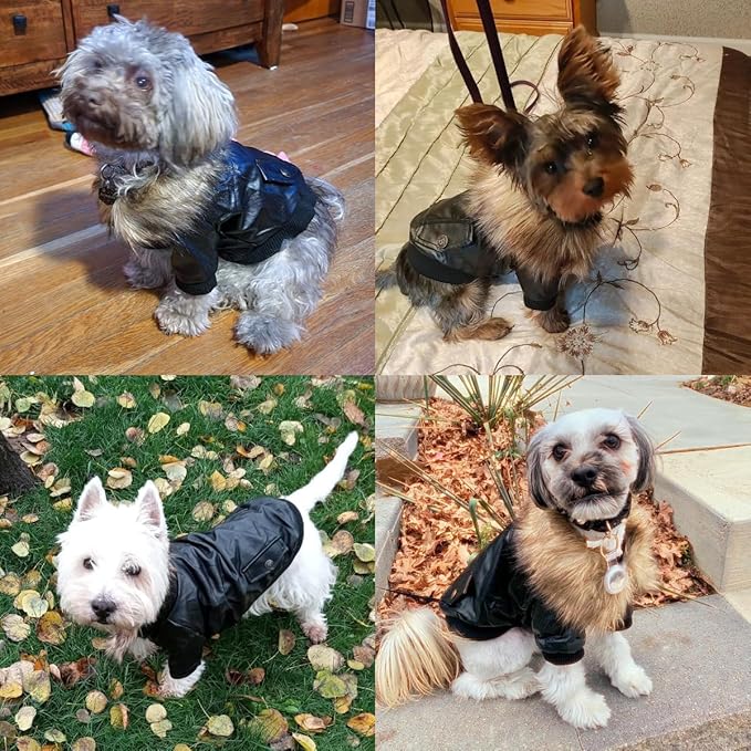 LESYPET Dog Leather Jacket for Small Dogs, Waterproof Dog Winter Jacket Puppy Coat with Fleece Lined, Ultra Warm Fur Collar Doggie Coat, Black X-Large