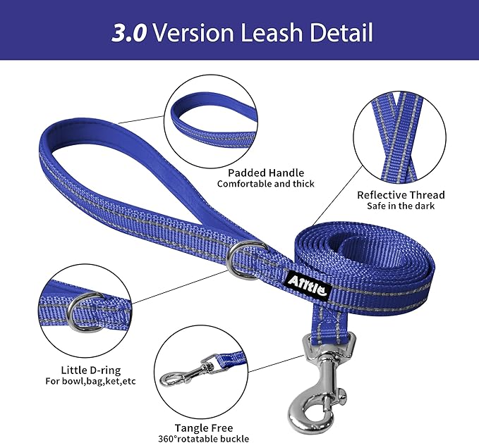 AIITLE Step in Dog Harness and Leash Set - Summer No Pull Escape Proof Vest Harnesses with Soft Mesh and Reflective Bands, Adjustable Pet Outdoor Harnesses for Small and Medium Dogs Royal Blue M