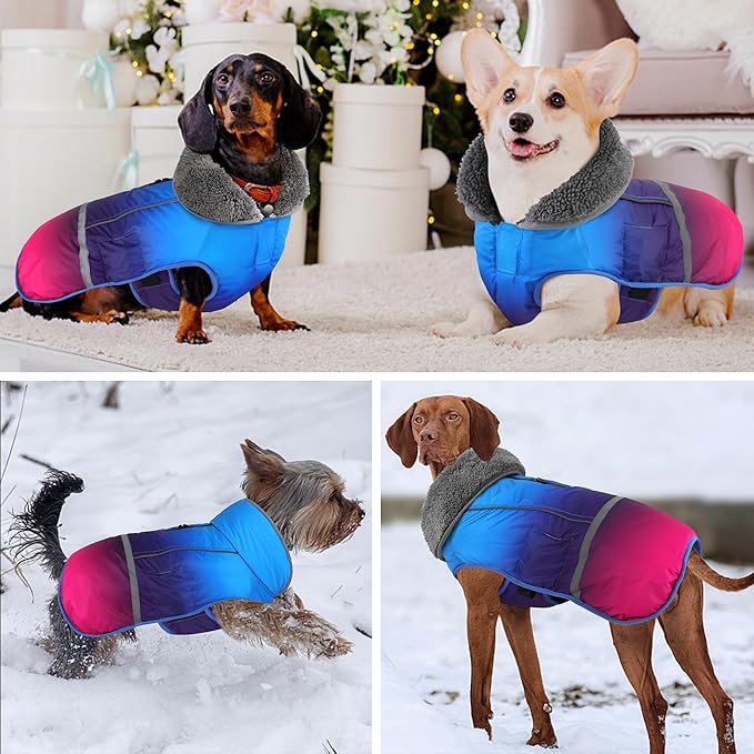Dogcheer Warm Dog Coat, Waterproof Dog Winter Jacket Christmas Puppy Cold Weather Coats with Buckle, Reflective Adjustable Pet Snow Jacket for Small Medium Large Dogs - Gradient Blue-red, M