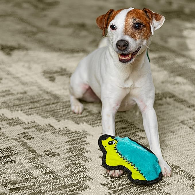 Outward Hound Durablez Minis Stuffing-Free Squeaky Plush Dog Toy for Puppies & Small Dogs - Interactive, Soft Yet Tough, No Mess, Jumbo Squeaker, Long-Lasting Play, Hedgehog