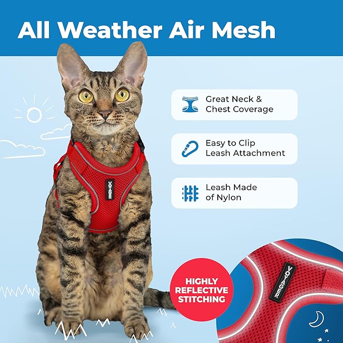 Voyager Escape Proof Cat Harness and Leash Set with Reflective Stitching, Neoprene Handle 5ft - Supports Small, Medium and Large Cats, Kittens for Walking by Best Pet Supplies - Red, XS