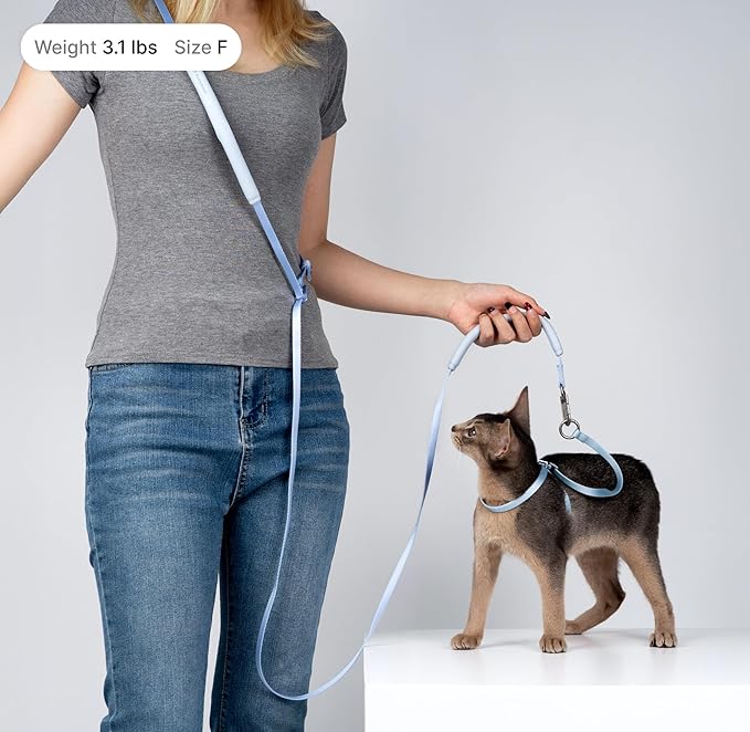 Cat Harness and Leash Set, Lightweight Escape Proof Cat Harness Leash with Padded Handle, Adjustable Cat Leash and Harness for Kitten Small Large Cats Walking Training (Blush Pink, S)