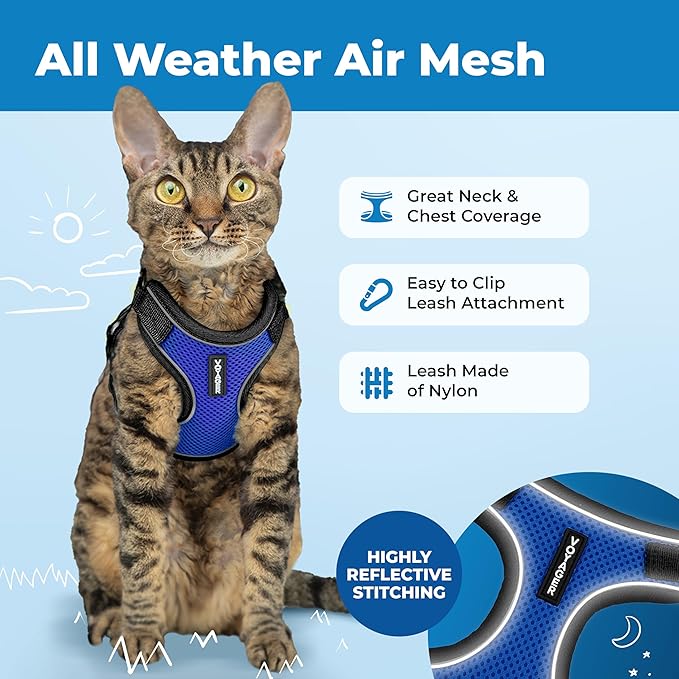 Voyager Escape Proof Cat Harness and Leash Set with Reflective Stitching, Neoprene Handle 5ft - Supports Small, Medium and Large Cats, Kittens for Walking by Best Pet Supplies - BT-Royal Blue, XXS