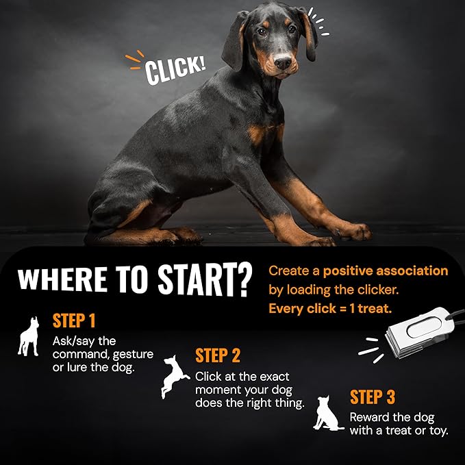 Dog Clicker Black & White with Necklace (4 Pack) - Clickers for Pet Training - Dog Training & Behavior Aids Easy to Carry with You Anywhere - Teach Your Dog Tricks or Reward His Behavior