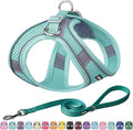 AIITLE Escape Proof Dog Harness - Step in Adjustable Dog Harness No Choke Over with Quick-Release Buckle for Summer- Outdoor Walking, Camping, Training for Medium Dogs Pure Turquoise XL