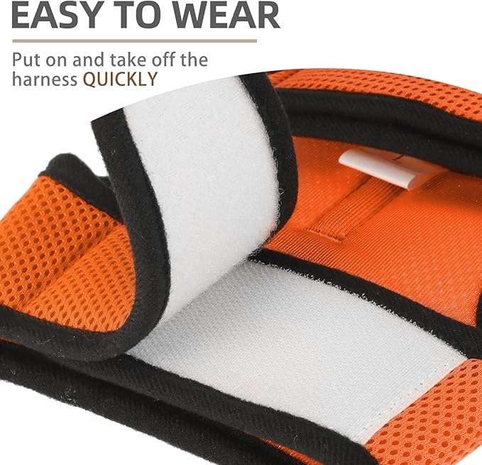 PUPTECK Soft Mesh Cat Vest Harness and Leash Set Puppy Padded Pet Harnesses Escape Proof for Cats Small Dogs Rabbits Bunny