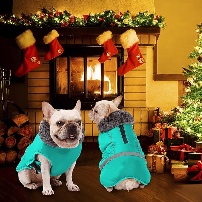 Dogcheer Warm Dog Coat, Waterproof Dog Jacket Christmas Puppy Winter Coat with Buckle, Reflective Adjustable Pet Snow Jacket Turtleneck Fleece Sweater for Small Medium Large Dogs - Pine Green, S