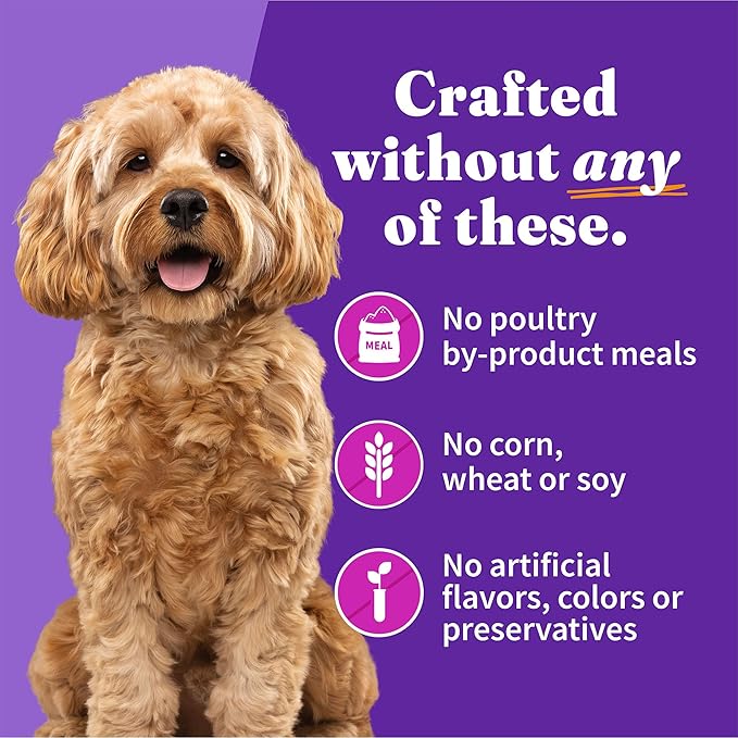 Halo Wet Dog Food For Small Dogs, Grain Free, Turkey & Duck 5.5 Ounce (Pack of 12)