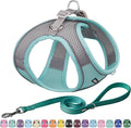 AIITLE Small Harness for Puppy with A Leash - Summer Dog Vest Harness with Super Breathable Mesh, Reflective No-Pull Pet Harness for Outdoor Walking, Camping for Small Dogs, Cats Turquoise XXS