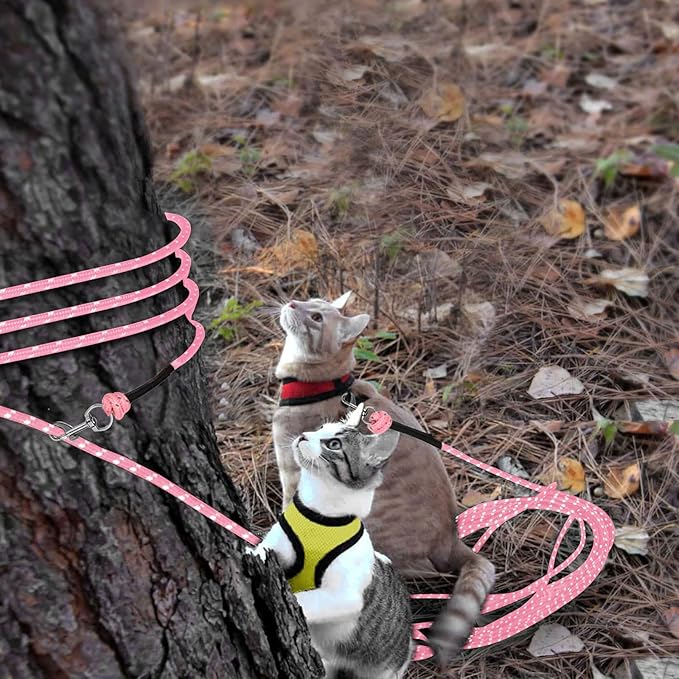 Rypet Reflective Cat Long Leash 15 FT Escape Proof Walking Leads Yard Long Leashes Durable Safe Personalized Extender Leash Traning Play Outdoor for Kitten, Puppy, Rabbit and Small Animals(Pink-S)