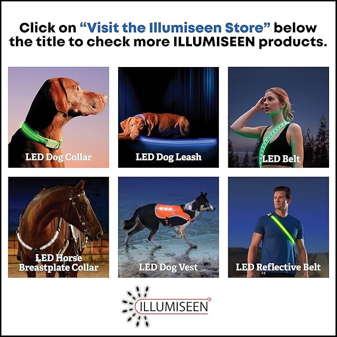 Illumiseen LED Dog Collar USB Rechargeable - Bright & High Visibility Lighted Glow Collar for Pet Night Walking - Weatherproof, in 6 Colors & 6 Sizes (Green Medium)