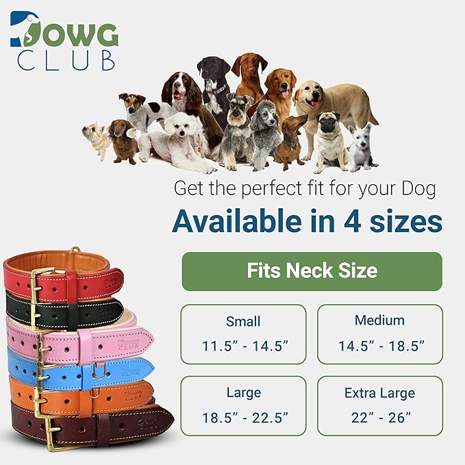 Leather Dog Collar for Large Dogs, Light Pink, 1.25 Inch, WideGenuine Leather, Heavy Duty with Soft Inner Padding, Comfortable and Durable (Blush Pink, Large (Fit Neck Size 18.5"-22.5"))