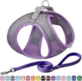 AIITLE Easy Walk Dog Harness and Leash Set - Pet Supply No Pull, Step in Adjustable Pet Harnesses with Padded Vest for Summer, No Choke Over, Easy to Put on Medium Dogs Purple L