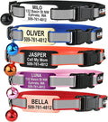 GoTags Reflective Cat Collars with Personalized Tag, Breakaway Collar with Safety Buckle Matching Bell, Engraved Custom with Name and Phone, Adjustable for Cats and Kitten, (Pink with Nameplate)