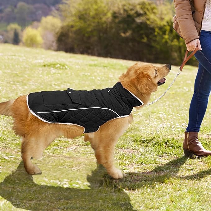 Malier Dog Winter Coat, Windproof Dog Cold Weather Coats with Real Pocket, Winter Extra Warm Pet Coat Fleece Jacket Reflective Clothes for Small Medium Large Dogs and Puppy (Black, XX-Large)