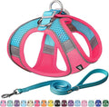 AIITLE Dog Harness, Summer No-Pull Cat Harness with a Leash, Adjustable Reflective Dog Vest, Cat Harness Escape Proof, Outdoor Walking, Camping for Extra Small Dogs and House Cats Hot Pink XXXS
