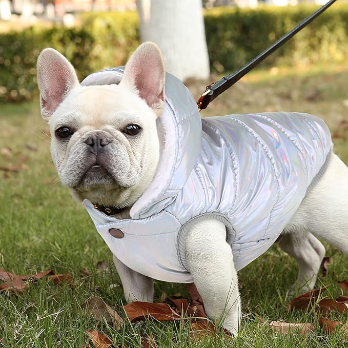 Fleece Hoodie, Windproof Waterproof Coat, Winter Warm Jacket, Cold Weather Pet Apparel Clothes Vest for Small Medium Large Dogs (M, Silver)