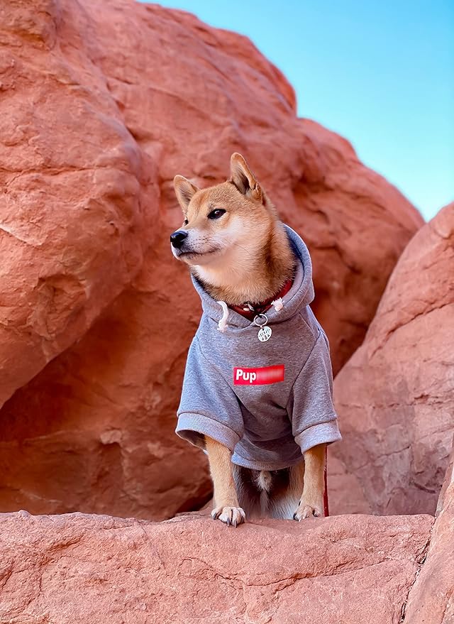 ChoChoCho Pup Dog Hoodie, Cat Hoodies - Fashion Dog & Cat Clothes, Cotton Sweatshirt Outfit for Small to 4XL (Gray)