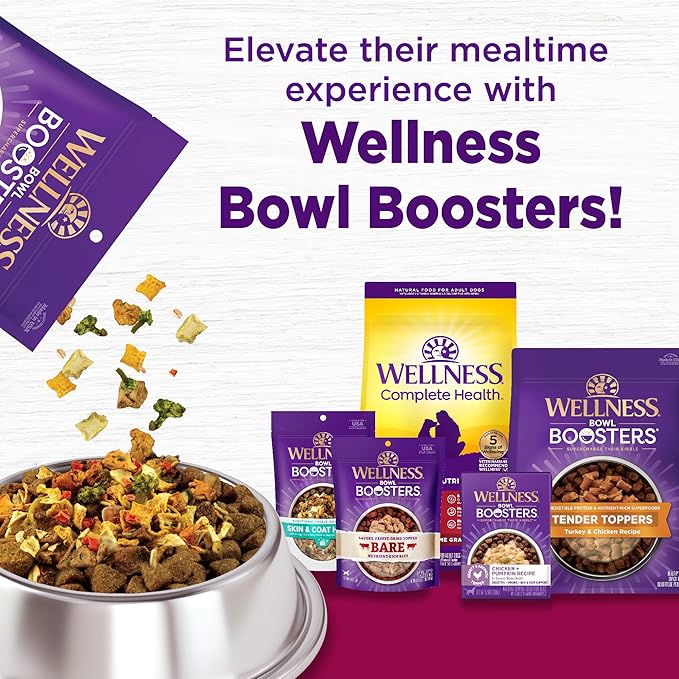 Wellness Complete Health Dry Dog Food, Small Breed, Grain Free, Natural, Turkey, Chicken, & Salmon Recipe (4-Pound Bag)