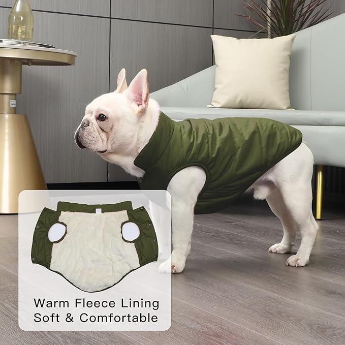 2 Layers Fleece Lined Warm Dog Jacket for Puppy Winter Cold Weather,Soft Windproof Small Dog Coat,Green S