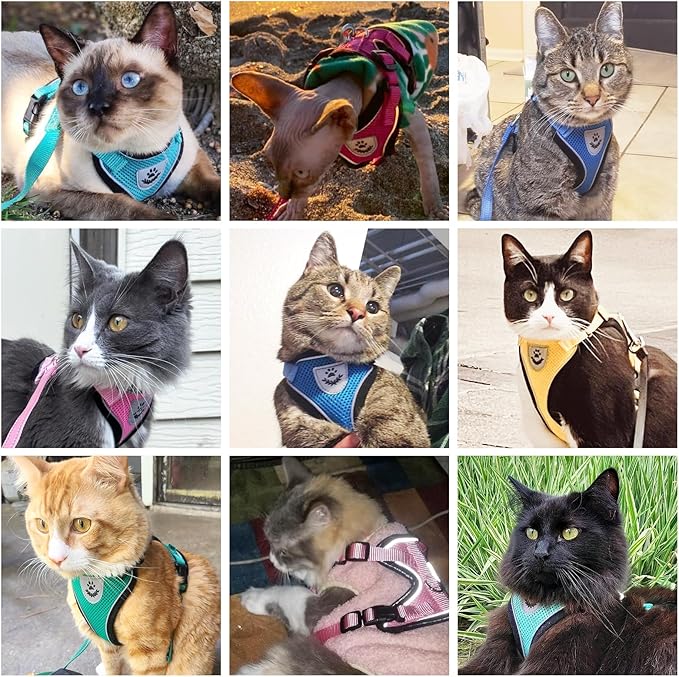 PUPTECK Cat Harness and Leash Set Escape Proof Reflective Cat Walking Harness Adjustable Soft Breathable Mesh Vest for Small Pets, Light Pink, L