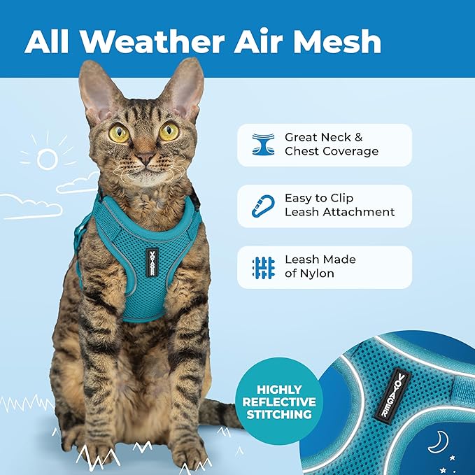 Voyager Escape Proof Cat Harness and Leash Set with Reflective Stitching, Neoprene Handle 5ft - Supports Small, Medium and Large Cats, Kittens for Walking by Best Pet Supplies - Turquoise, S