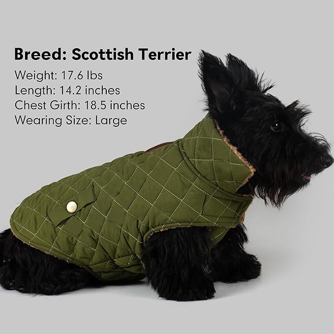 azuza Dog Jacket for Medium Dogs Waterproof & Windproof Dog Coat for Small Dogs with Thick Fleece, High Collar with Leash Hole, Adjustable Velcro & Elastic Belly, Army Green 2XL