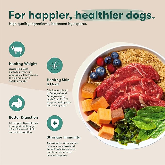 Jinx Premium Dry Dog Food, for All Lifestages - Real Beef, Brown Rice & Sweet Potato Kibble with Superfoods for Immune Support & Probiotics for Digestive Support - No Fillers - 4lb