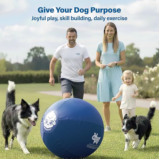 Race&Herd 30" Original XXL Herding Ball for Dogs - Giant Herding Dog Ball Australian Shepherds, Herding Toys, Dog Training Toy for Large Breeds, Dog Toy for Outdoor Play (for Large Dogs/Horses, Blue)