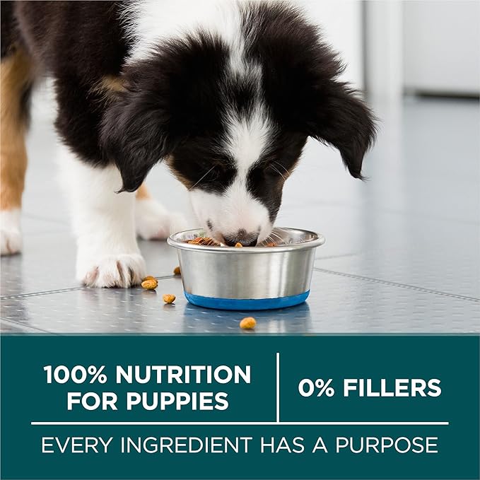 Purina ONE Plus Large Breed Puppy Food Dry Formula - 16.5 lb. Bag