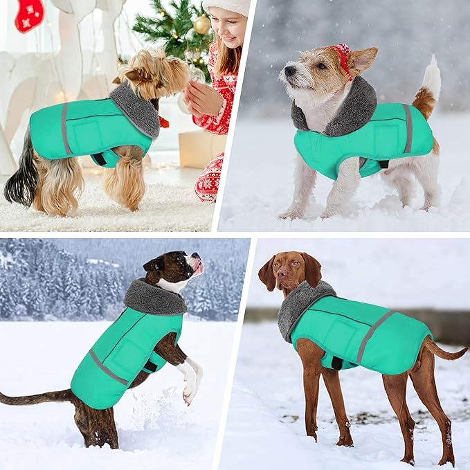 Dogcheer Warm Dog Coat, Waterproof Dog Jacket Christmas Puppy Winter Coat with Buckle, Reflective Adjustable Pet Snow Jacket Turtleneck Fleece Sweater for Small Medium Large Dogs - Pine Green, 2XL