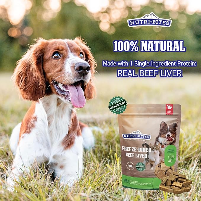 Nutri Bites Freeze Dried Treats (9 oz, Beef Liver)