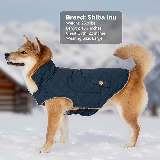 Dog Winter Coat, Waterproof Warm Dog Jackets for Large Dogs Boy, Adjustable Pet Vest Windproof Cold Weather Clothes Dogs Snowsuit with Leash Hole, Navy XX-Large