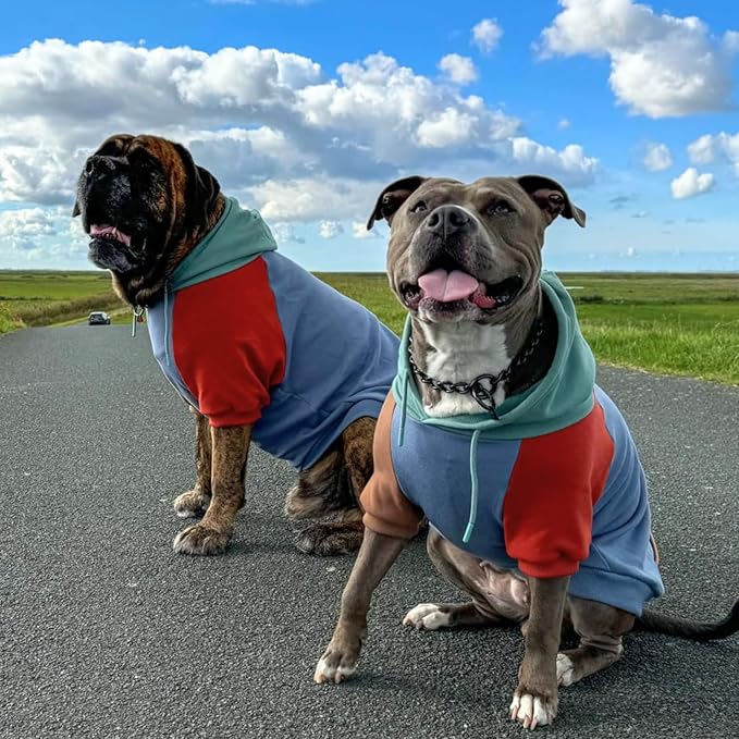 Spark Paws Dog Hoodie – Premium Dog Sweater for Small, Medium, and Large Dogs | Warm Outfits for French Bulldogs, Pitbull, Puppy, Winter Jacket Alternative - Alpine - M
