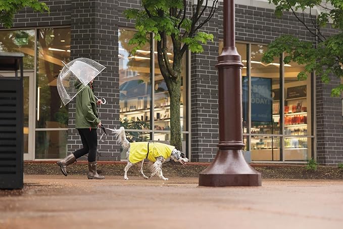 Goldpaw Rainpaw Waterproof Dog Raincoat - Durable Dog Rain Jacket for All Seasons - Easy to Wear, Adjustable, Premium Pet Outerwear - Made in The USA - Machine Washable - Red - Size 20