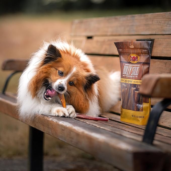 Cadet Bully Sticks for Small Dogs – All-Natural Beef Pizzle, High Protein, Low Fat, Long-Lasting, Grain & Rawhide-Free Dog Chews for Aggressive Chewers, Small (25 Count)