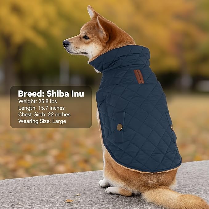 Dog Winter Coat, Waterproof Warm Dog Jackets for Large Dogs Boy, Adjustable Pet Vest Windproof Cold Weather Clothes Dogs Snowsuit with Leash Hole, Navy XX-Large