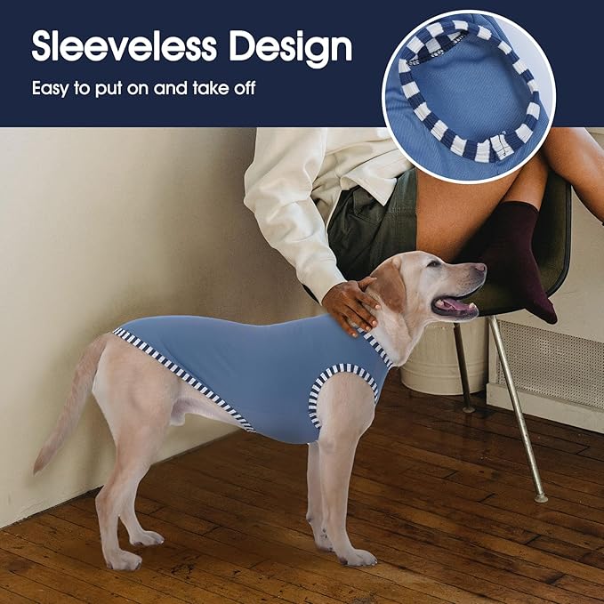 IECOii 2 Pack Large Dog T-Shirt | Non-Restrictive Fit for Running, Breathable Summer Wear - Non-stuffy Design - Keeps Pups Comfortable in Hot Weather, Grey+Blue, 2XL