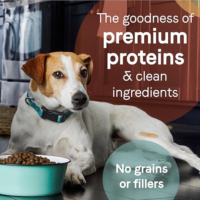 Canidae Pure Limited Ingredient Premium Adult Dry Dog Food, Real Chicken, Lentil & Potato Recipe, 4 lbs, Grain Free