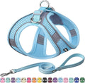 AIITLE Escape Proof Dog Harness - Step in Adjustable Dog Harness No Choke Over with Breathable Mesh and Quick-Release Buckle for Summer- Outdoor Walking, Camping for Medium Dogs Pure Blue XL