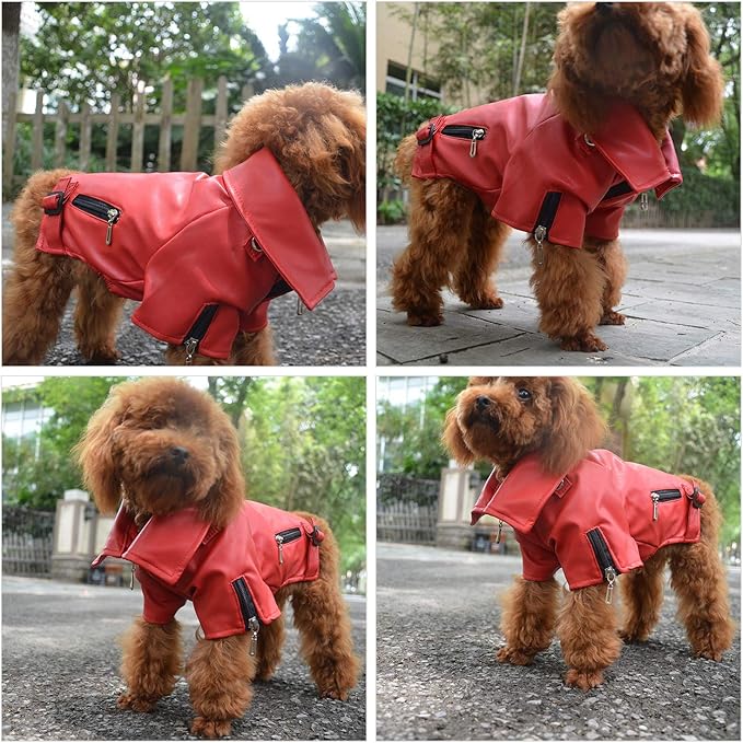Lovelonglong Cool Dog Leather Jacket, Warm Coats Dogs Windproof Cold Weather Coats for Large Medium Small Dogs, Boston Terrier Clothing Red XXL