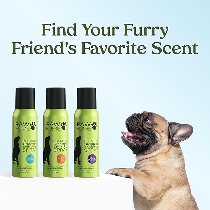 PAWFUME Dog Perfume Spray for Grooming, Blue Ribbon, 2-Pack – Keep Your Pup Fresh All Day – Probiotic, Alcohol-Free, Detangling & Moisturizing – Salon-Quality Dog Spray Deodorizer Perfume