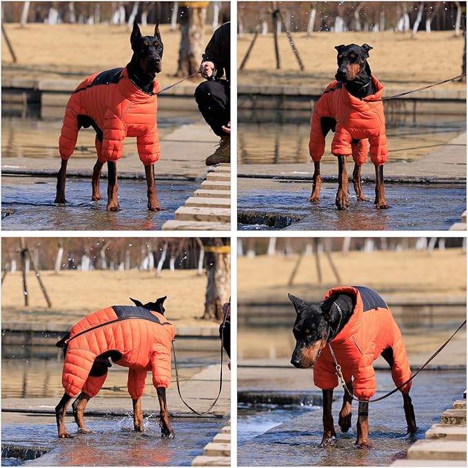 Warm Dog Coat, 4 Legs Covered Waterproof Windproof Reflective Vest, Zippered Adjustable Outdoor Snow Jacket for Small Medium Large Dogs Orange XXXL