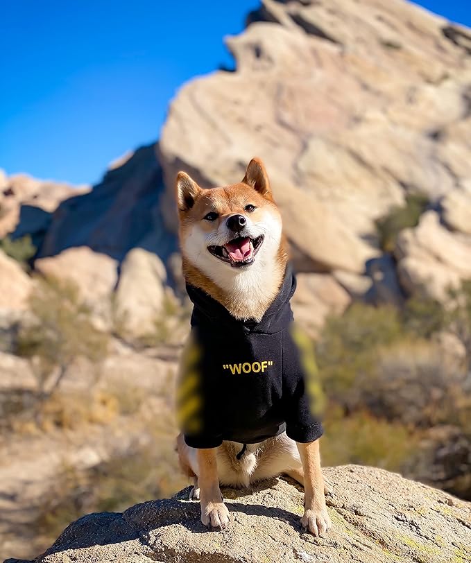 ChoChoCho Stylish Dog Hoodie Dog Clothes Streetwear Cotton Sweatshirt Fashion Outfit for Dogs Cats Puppy Small Medium Large (M, Yellow)