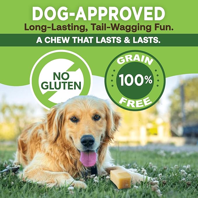 EcoKind Premium Gold Yak Cheese Himalayan Dog Chews, Healthy Dog Treats, Yak Chews for Small Dogs, All Natural, Long Lasting Dog Chew, High Protein Puppy Treat, Small - 70+ Chews (5 lbs)
